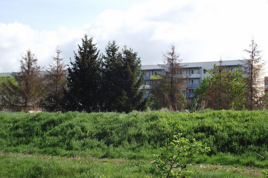 Die Auswirkungen des Hitze-Sommers 2018 sind auch im Stadtgebiet allgegenw&auml;rtig