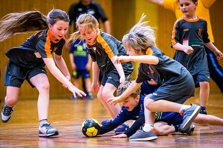 Handballzwerge im Mittelpunkt