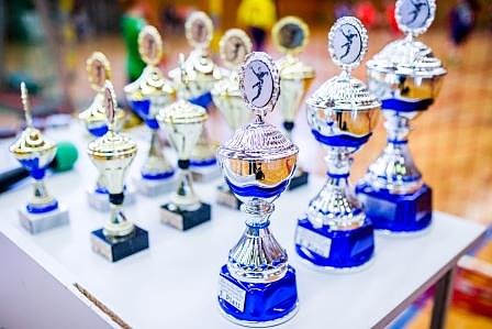 Handballzwerge im Mittelpunkt