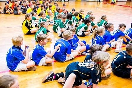 Handballzwerge im Mittelpunkt