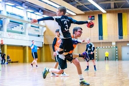 NSV-Handballer sind Vize-Landesmeister