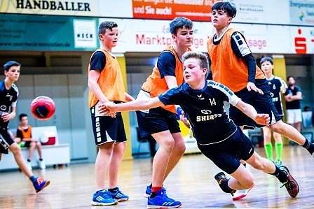 NSV-Handballer sind Vize-Landesmeister