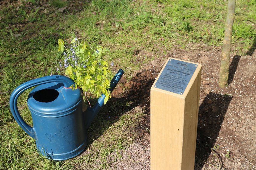 Eine &Auml;ra geht zu Ende - Gisela Hartmann wurde heute als Vorsitzende der B&uuml;rgerstiftung Park Hohenrode verabschiedet