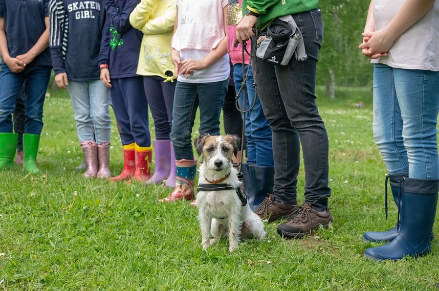 Gem&uuml;seackerdemie der Grundschule Niedergebra