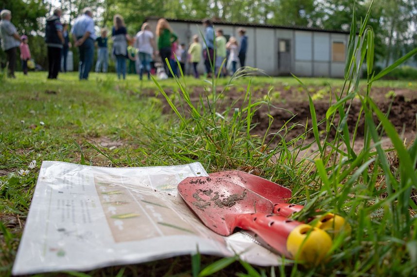 Gem&uuml;seackerdemie der Grundschule Niedergebra