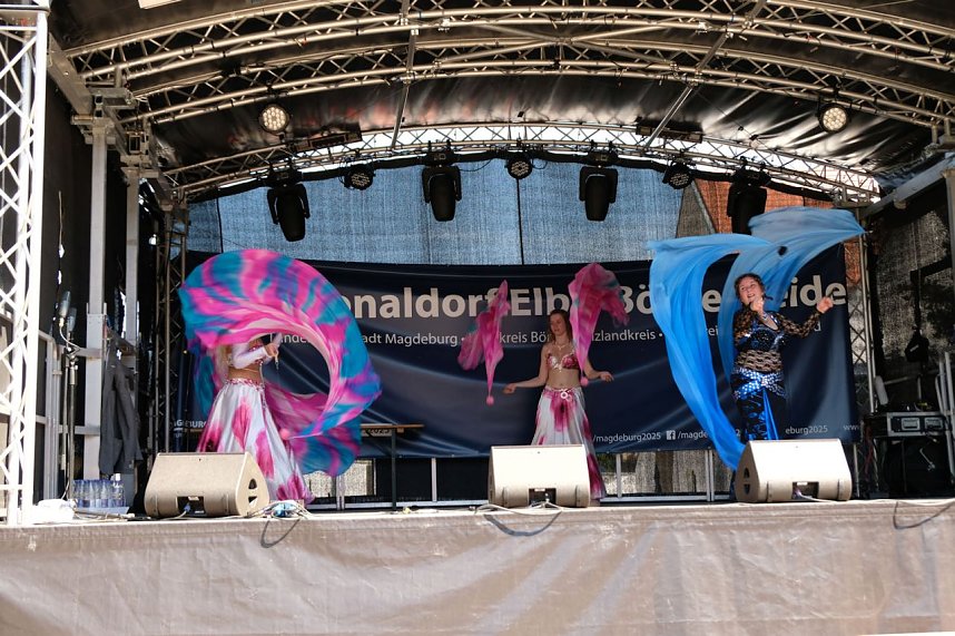 Sachsen-Anhalt-Tag in Quedlinburg