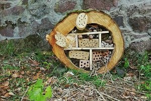 Das fertige Insektenhotel auf dem Burgberg in Ilfeld