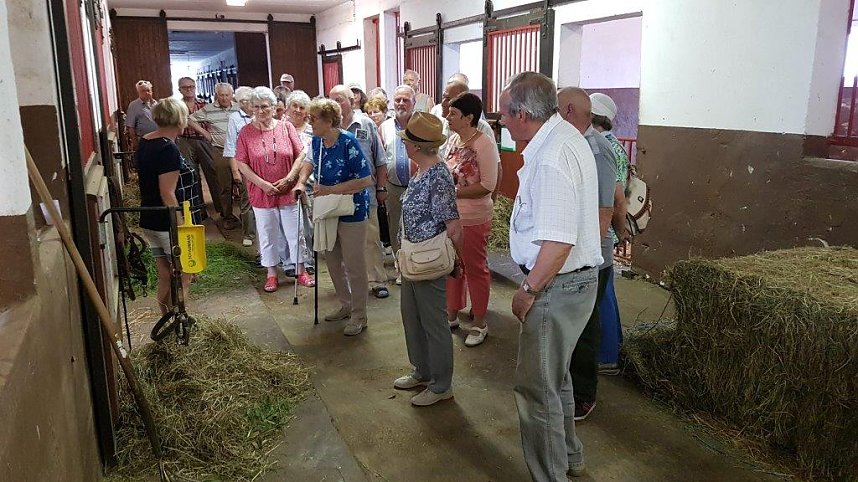 Schloss, Waffen, Haflinger, Reiterspiele, Stutenmilchlik&ouml;r