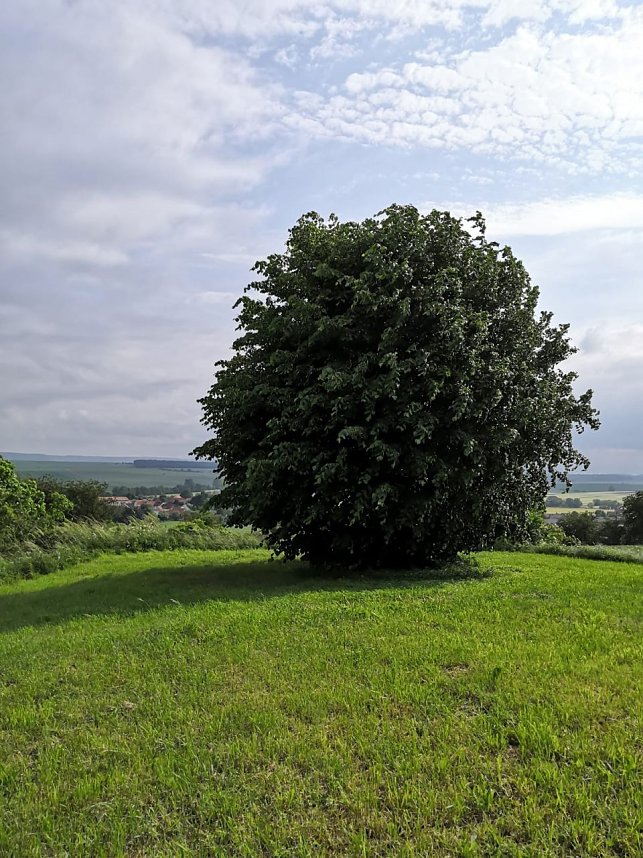 Impressionen rund um Haferungen