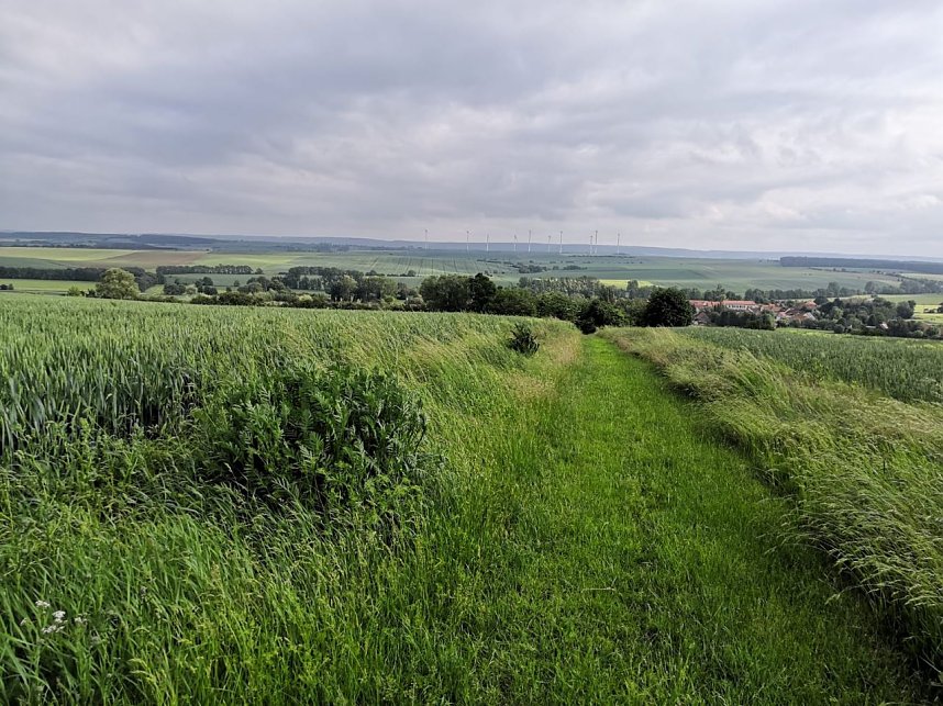 Impressionen rund um Haferungen