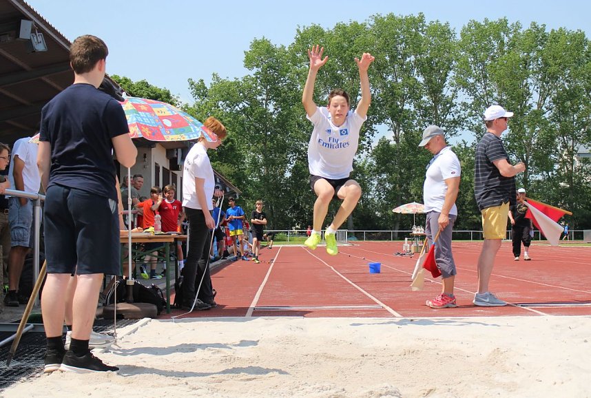 Heimsieg f&uuml;r Humboldt-Gymnasium
