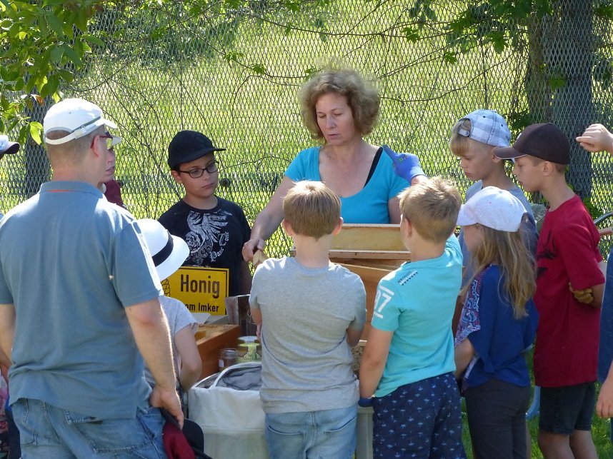 Naturerlebnistag in der Grundschule Klettenberg