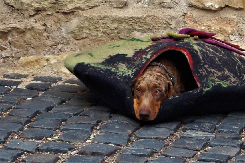 Fabuladrama begeistert Publikum