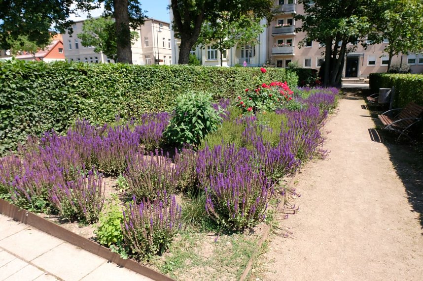 Farbenpracht und Schmetterlinge