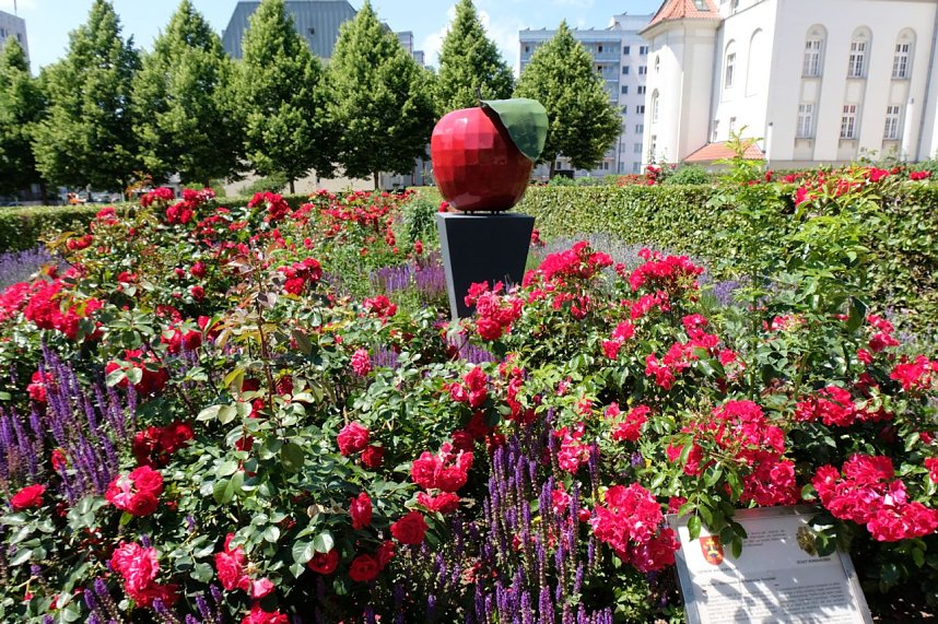 Farbenpracht und Schmetterlinge