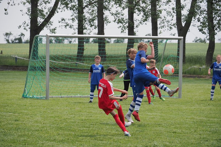 Doppel-Pokal-Erfolg f&uuml;r Wackers Nachwuchs