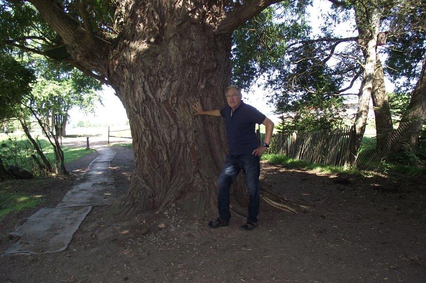 Schwalben, Liebe, Heimatort - Kurt Frank in Kleinbodungen