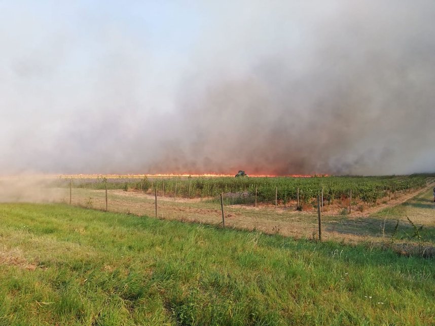 Brand zwischen Werna und Ellrich