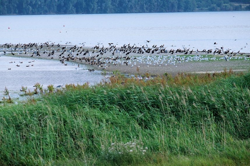 Peter Blei unterwegs am Stausee Kelbra