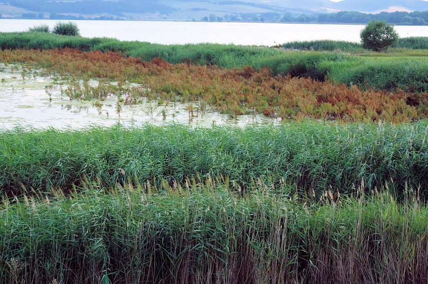 Peter Blei unterwegs am Stausee Kelbra