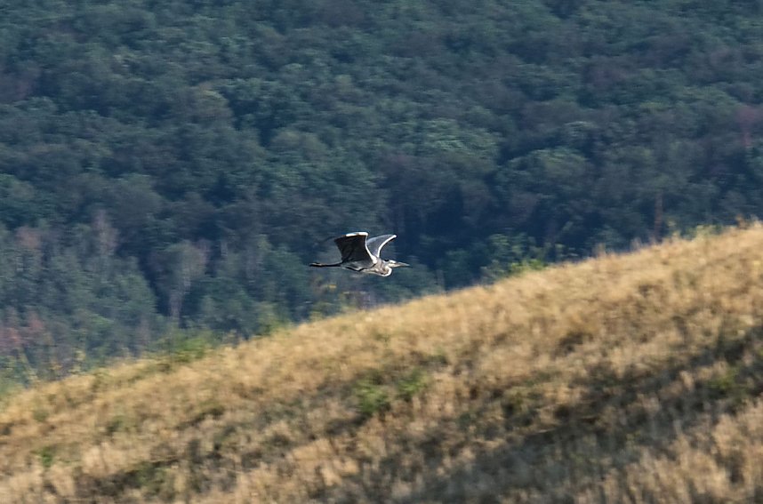 Peter Blei unterwegs am Stausee Kelbra