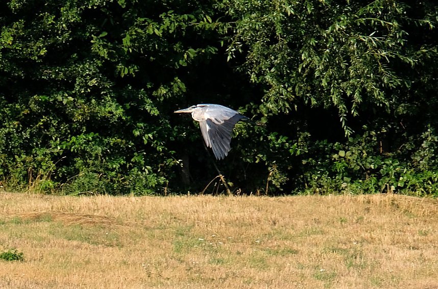 Peter Blei unterwegs am Stausee Kelbra