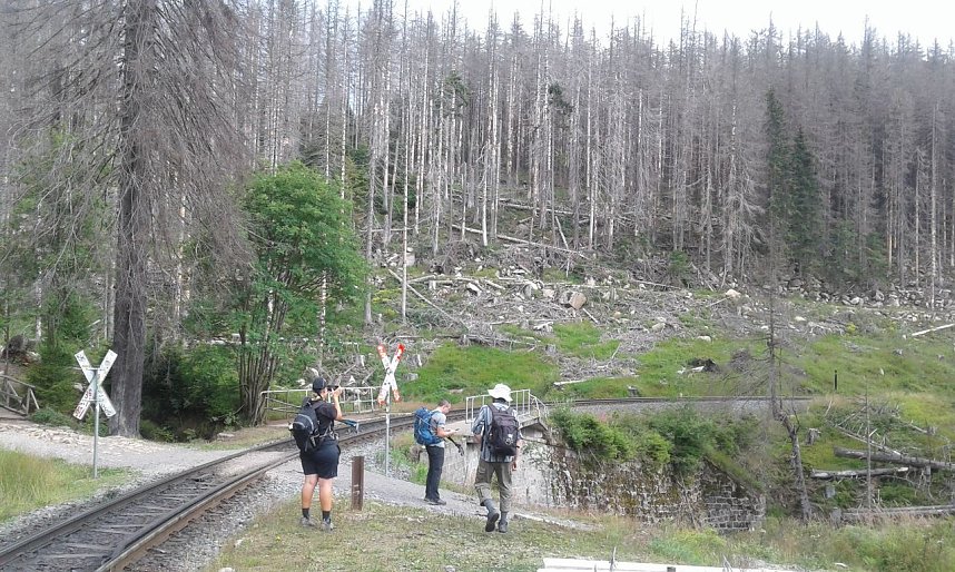 Zum zehnten Mal &uuml;ber den ganzen Harz