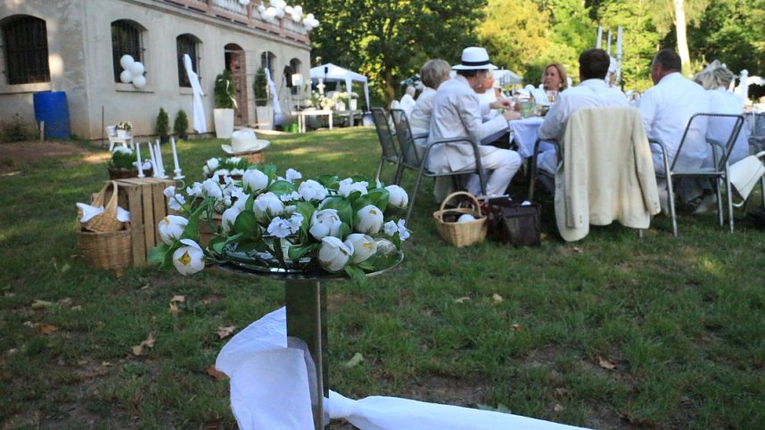 Diner en blanc im Park Hohenrode