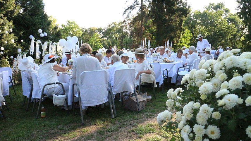Diner en blanc im Park Hohenrode