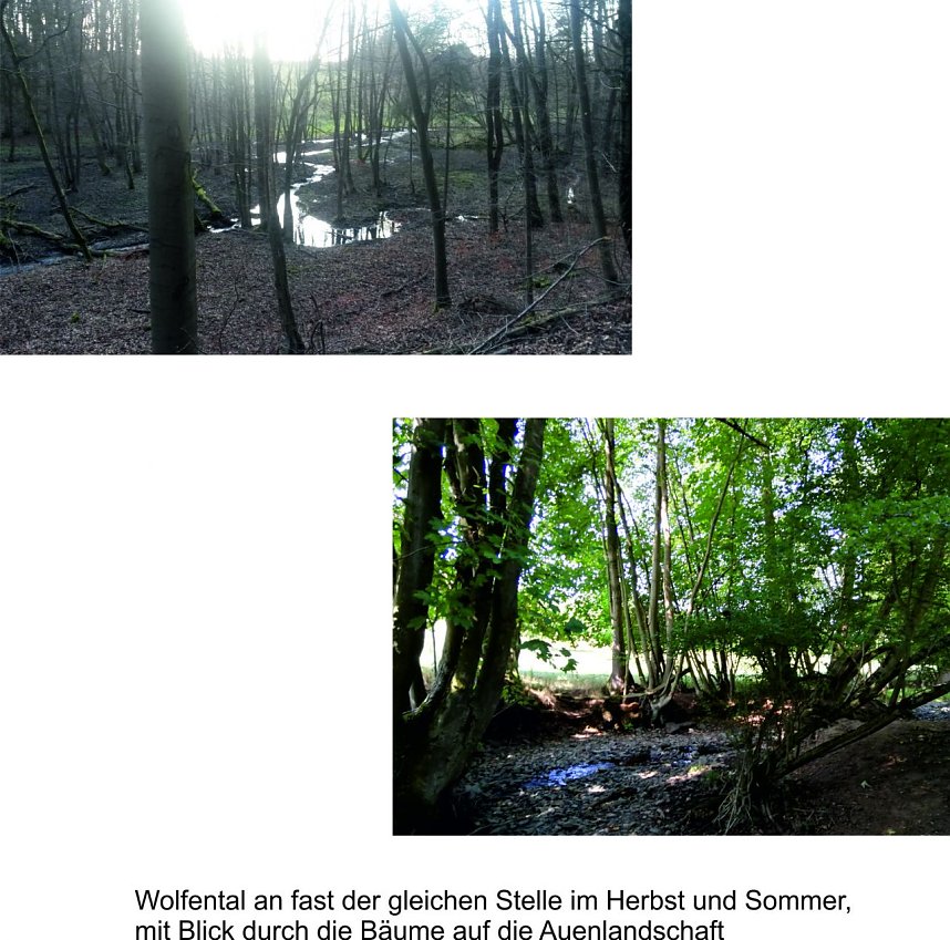 Bilder aus Rodishain