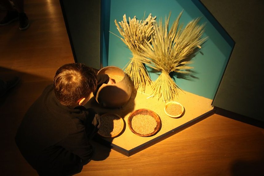 Arch&auml;ologie zum Anfassen beim Heringer Schlossfest