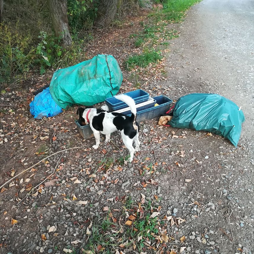 Entsorgter M&uuml;ll im Gumpeweg