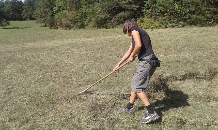 84. BUND-Einsatz f&uuml;r die Natur