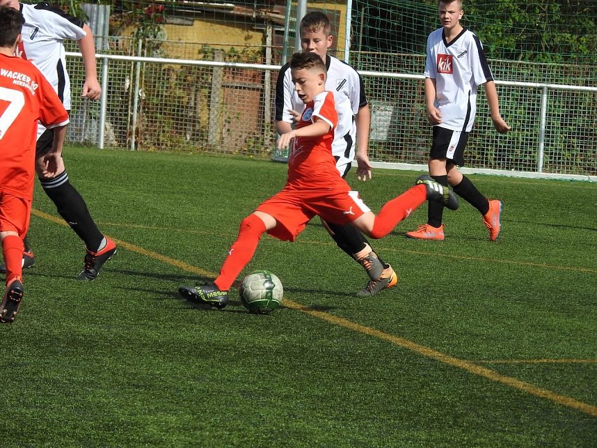 Wacker U15