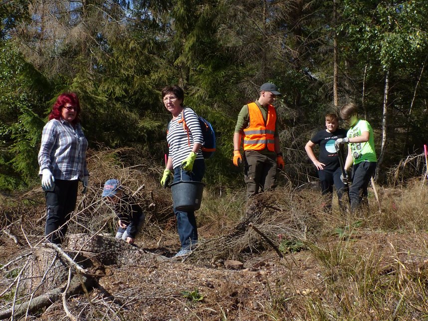 1.000 Stecklinge m&uuml;ssen in die Erde