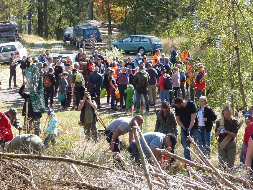 1.000 Stecklinge m&uuml;ssen in die Erde