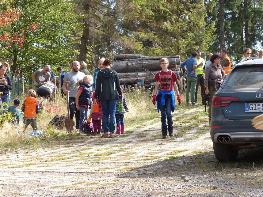 1.000 Wei&szlig;tannen gepflanzt