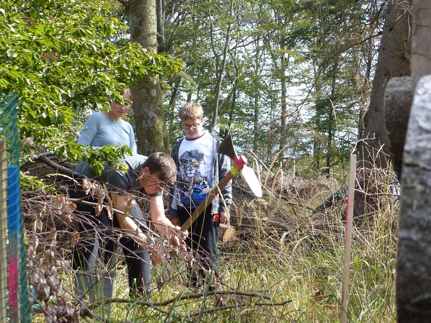 1.000 Wei&szlig;tannen gepflanzt