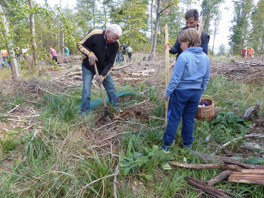 1.000 Wei&szlig;tannen gepflanzt