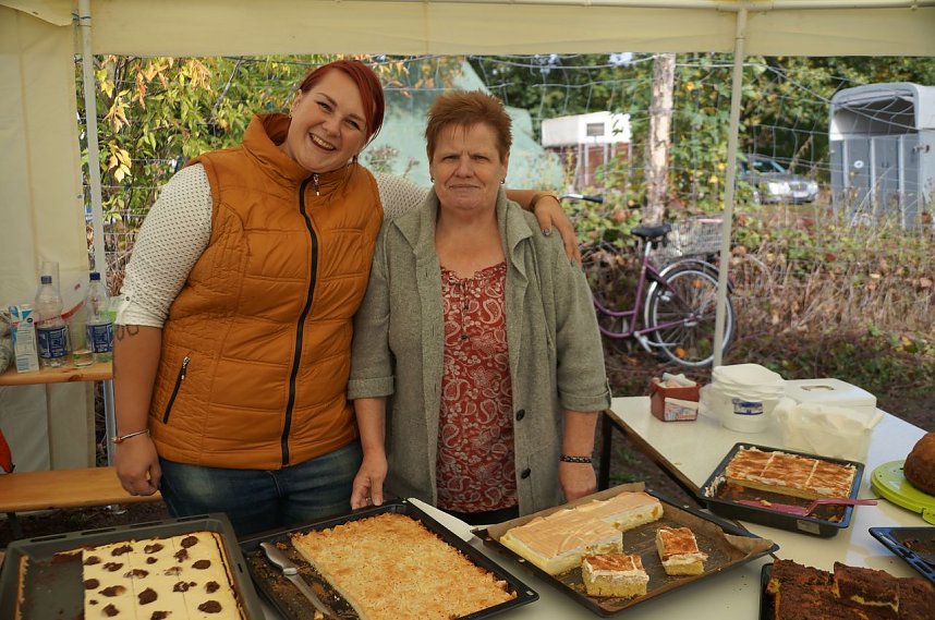 S&uuml;dharz Rallye f&uuml;r Pferdegespanne