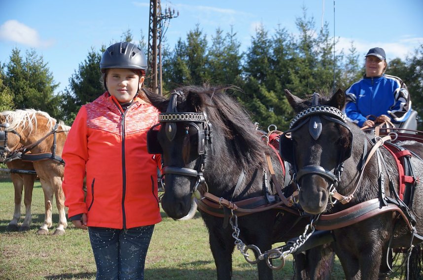 S&uuml;dharz Rallye f&uuml;r Pferdegespanne