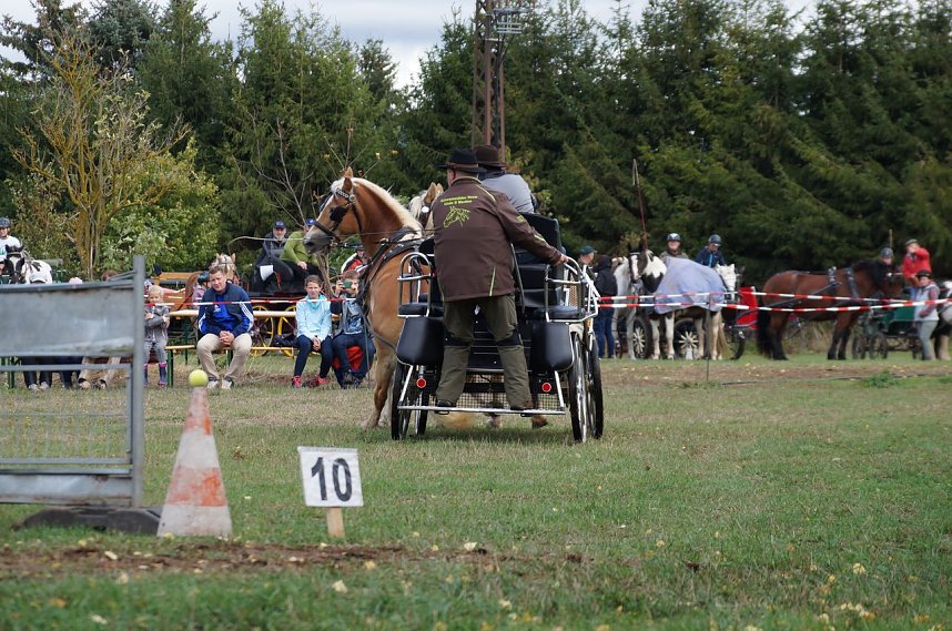 S&uuml;dharz Rallye f&uuml;r Pferdegespanne