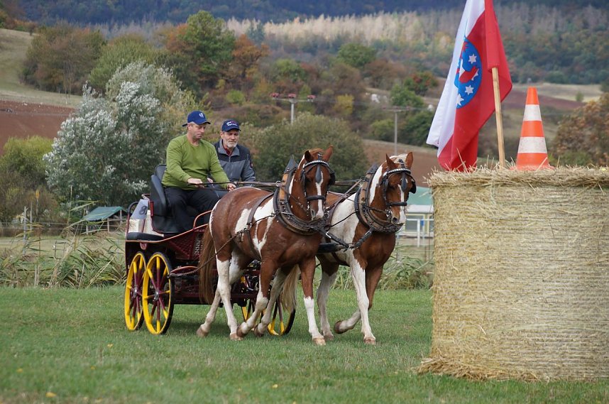S&uuml;dharz Rallye f&uuml;r Pferdegespanne