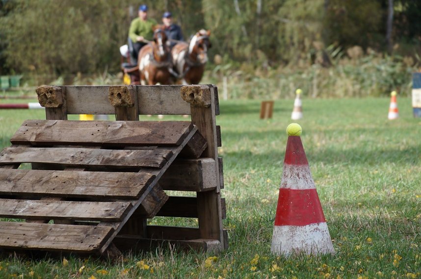 S&uuml;dharz Rallye f&uuml;r Pferdegespanne