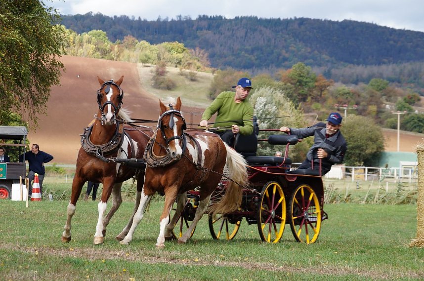 S&uuml;dharz Rallye f&uuml;r Pferdegespanne