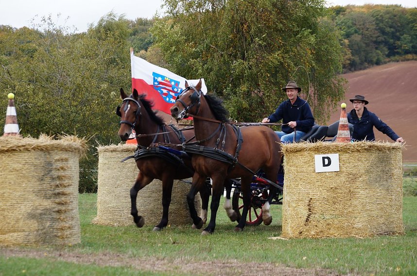 S&uuml;dharz Rallye f&uuml;r Pferdegespanne