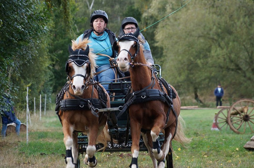 S&uuml;dharz Rallye f&uuml;r Pferdegespanne