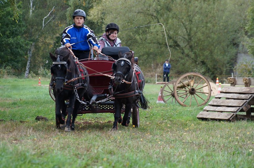 S&uuml;dharz Rallye f&uuml;r Pferdegespanne