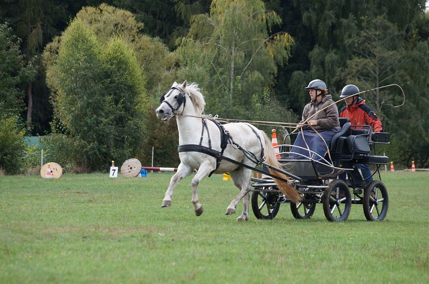 S&uuml;dharz Rallye f&uuml;r Pferdegespanne