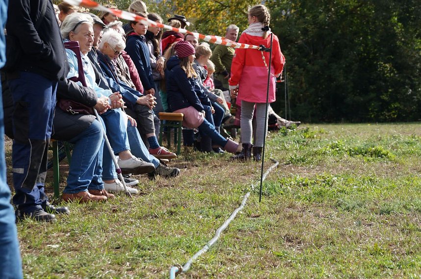 S&uuml;dharz Rallye f&uuml;r Pferdegespanne